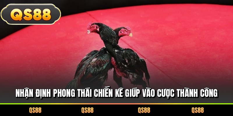 Nhận định phong thái chiến kê giúp vào cược thành công